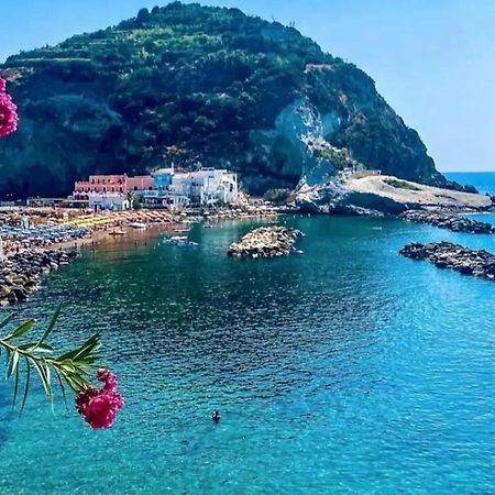 Mare Nostrum - Beachfront House - Sant'Angelo Ischia المظهر الخارجي الصورة